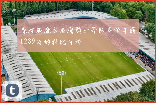 森林狼魔术老鹰骑士等队争抢年薪1289万的科比怀特
