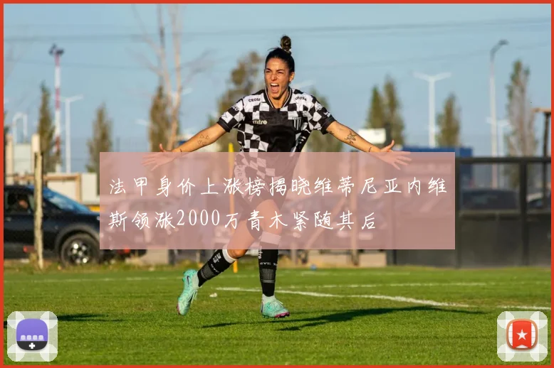 法甲身价上涨榜揭晓维蒂尼亚内维斯领涨2000万青木紧随其后